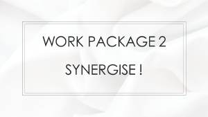 Work Package 2 - Synergise!
