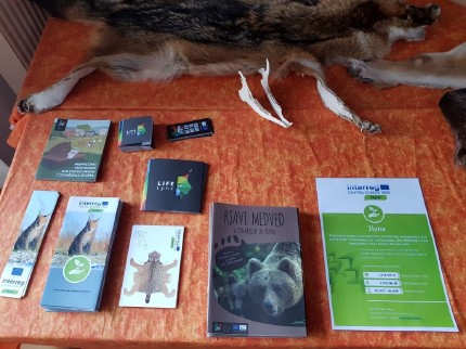Information about large carnivores from different projects (3Lynx, LIFE Lynx and LIFE DINALP BEAR). Photo: Maja Sever, 3Lynx 