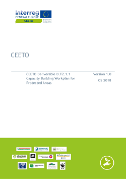 CEETO-Capacity-Building-Workplan 