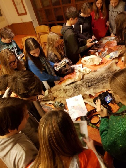 School children were very interested in large carnivores. Photo: Maja Sever, 3Lynx 