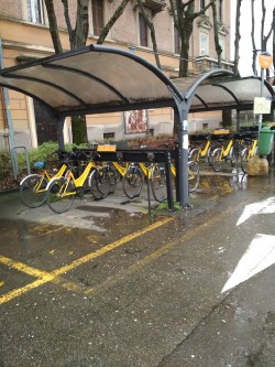Study visit in Modena - Bike sharing system 
