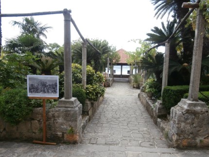 Arboretum Trsteno 1 