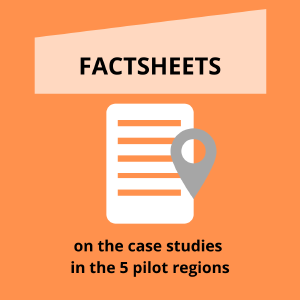 Factsheets pilot cases