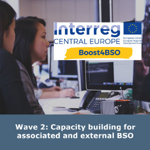 Wave 2: Capacity building for associated and external BSO