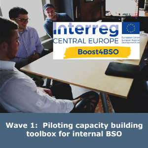 Wave 1: Piloting capacity building toolbox for internal BSO